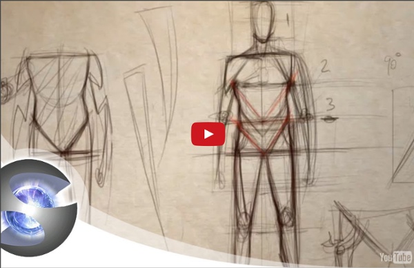 How to Draw the Proportions of the Adult Male
