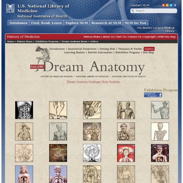 Dream Anatomy: Gallery