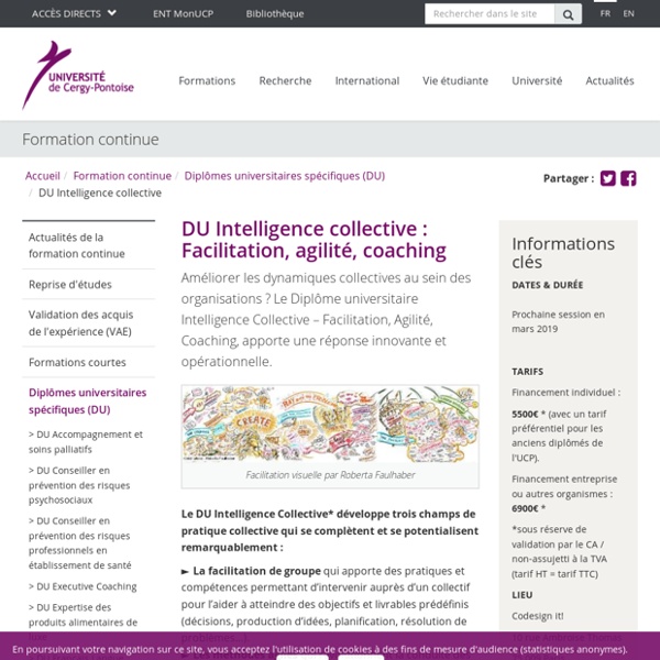 DU Intelligence collective - Université de Cergy-Pontoise