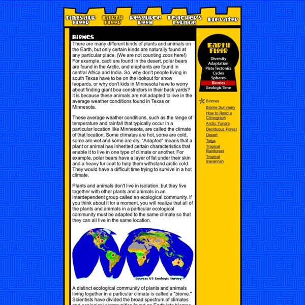 Earth Floor Biomes Pearltrees