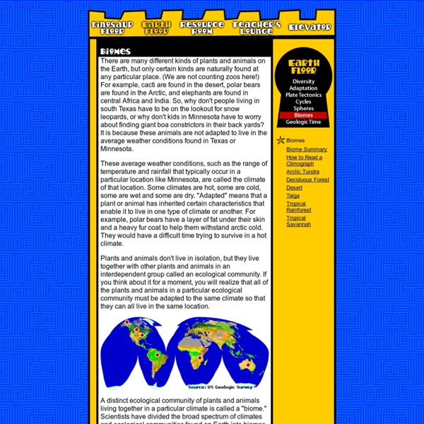 Earth Floor: Biomes