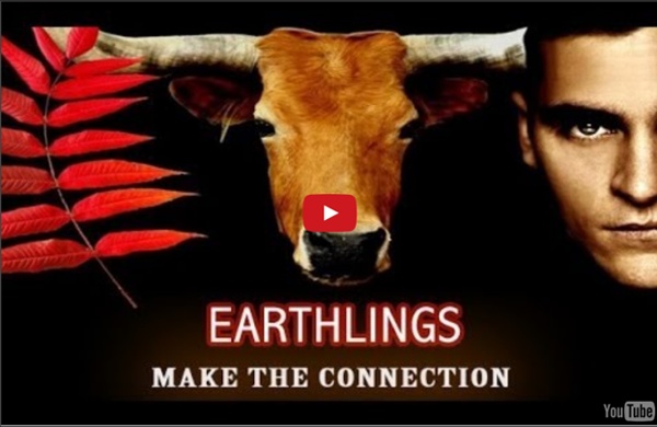 Earthlings - Full length documentary (multi-subtitles)
