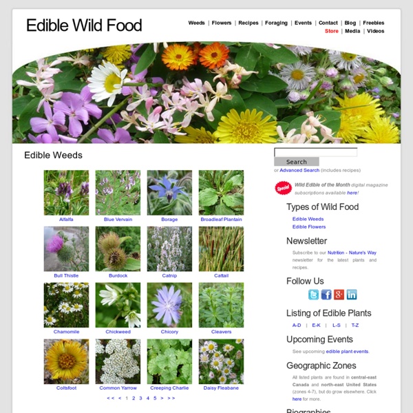 Edible Weeds