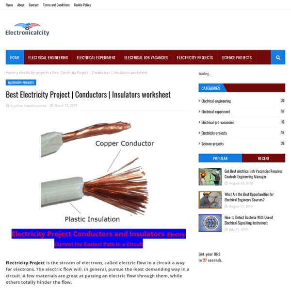 Best Electricity Project
