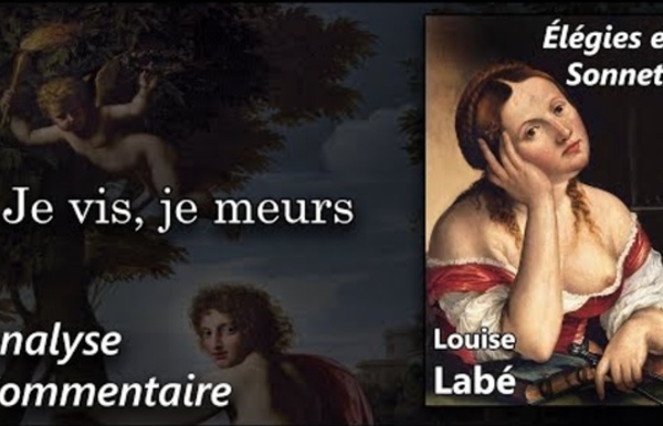 Louise Labé, Élégies et sonnets - Sonnet VIII : Je vis, je meurs... (commentaire analyse littéraire)