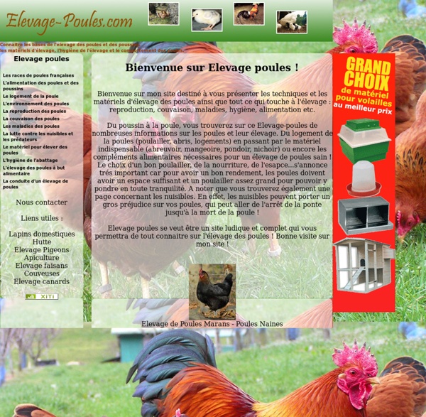 L'élevage des poules : matériel d'élevage et techniques pour l'élevage des poules