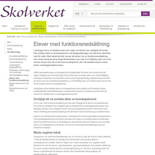 Elever med funktionsnedsättning