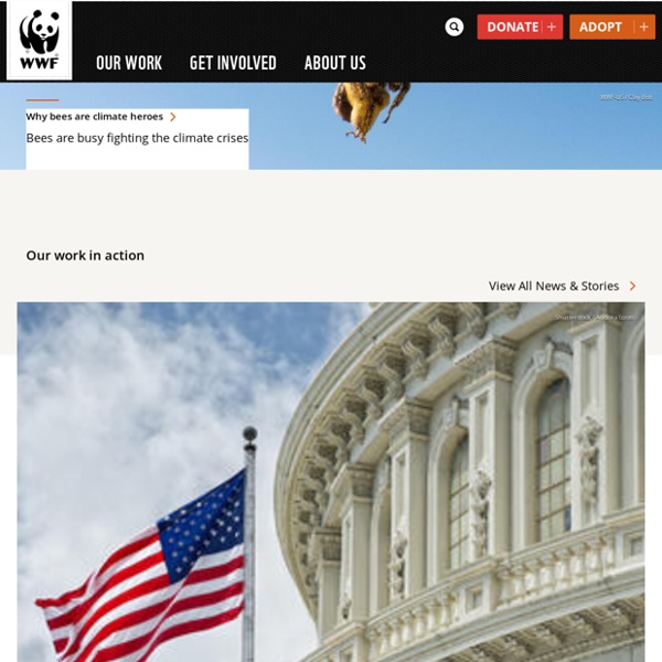WWF - Endangered Species Conservation