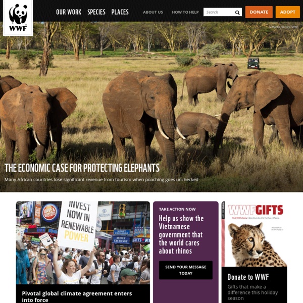 World Wildlife Fund - Wildlife Conservation, Endangered Species Conservation