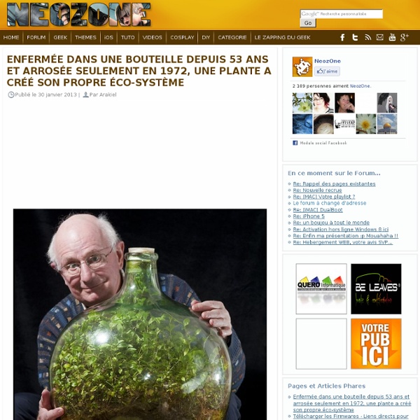 Enfermée dans une bouteille depuis 53 ans et arrosée seulement en 1972, une plante a créé son propre éco-système