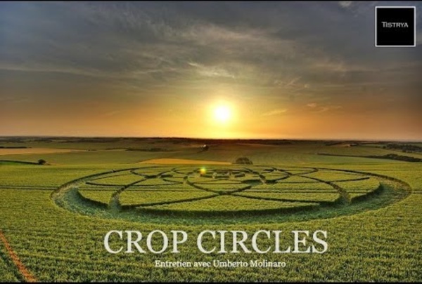 Entretien avec Umberto Molinaro : Crop Circles