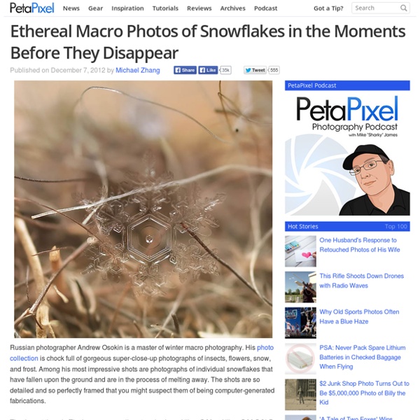 Ethereal Macro Photos of Snowflakes in the Moments Before They Disappear