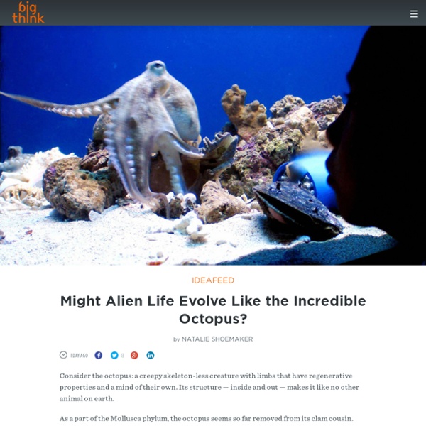 Might Alien Life Evolve Like the Incredible Octopus?
