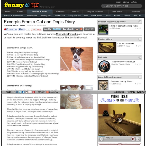 Excerpts From a Cat and Dogs Diary from Breaking Cat News - StumbleUpon