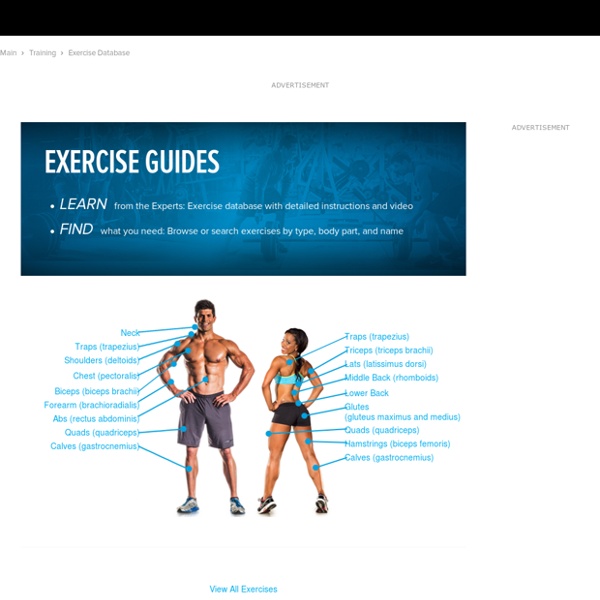 #1 Exercises Guide! Over 300+ Free Exercise Videos And Guides!