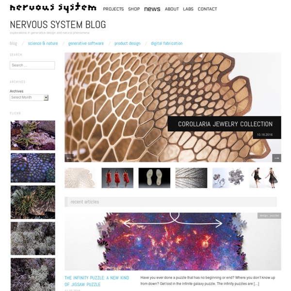 Nervous System – explorations in generative design and natural phenomena
