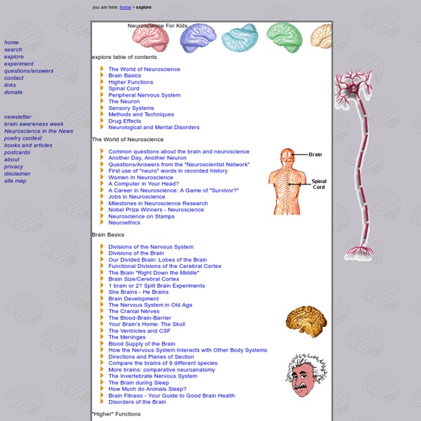 Explore the nervous system