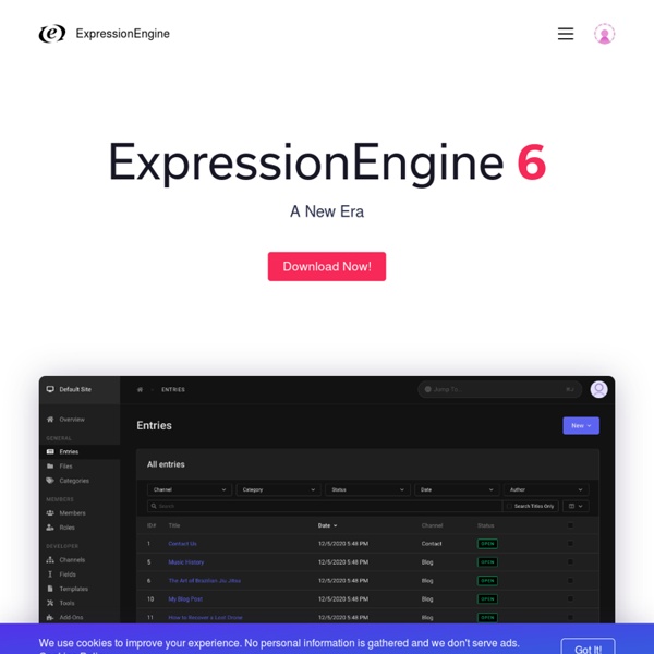 Expression Engine