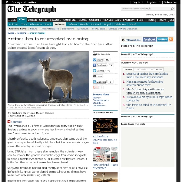 Extinct ibex is resurrected by cloning