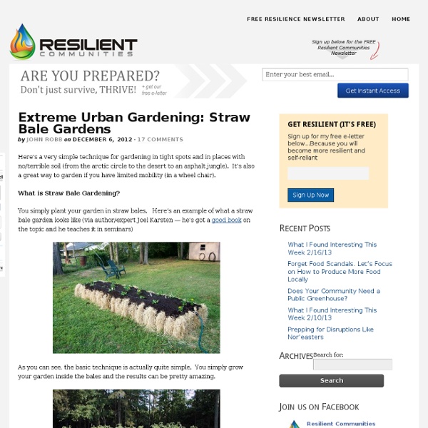Extreme Urban Gardening: Straw Bale Gardens