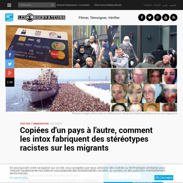 Observateurs France 24 - Copiées, comment les intox fabriquent des stéréotypes rac...