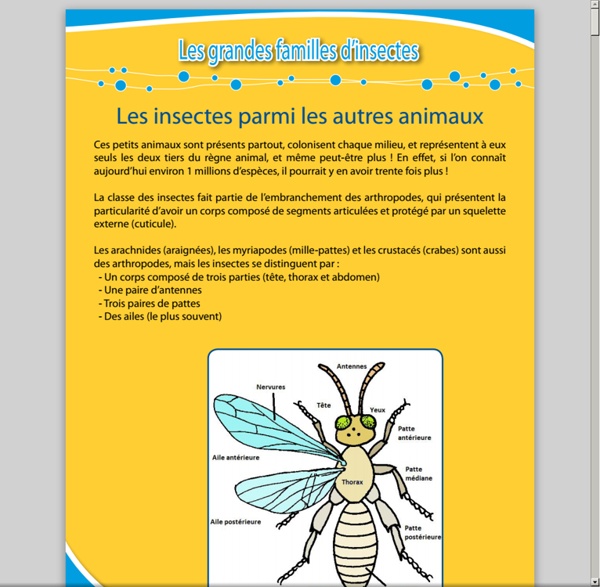 Guide familles-insectes.pdf