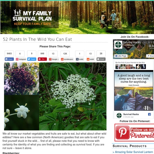My Family Survival Plan 52 Plants In The Wild You Can Eat - My Family Survival Plan