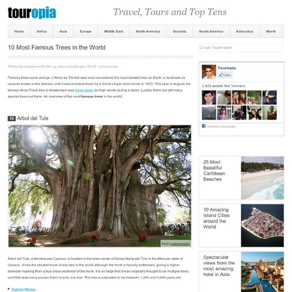 10 Most Famous Trees in the World