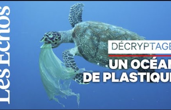 Vraiment fantastique, le plastique ? Plutôt dramatique pour les océans