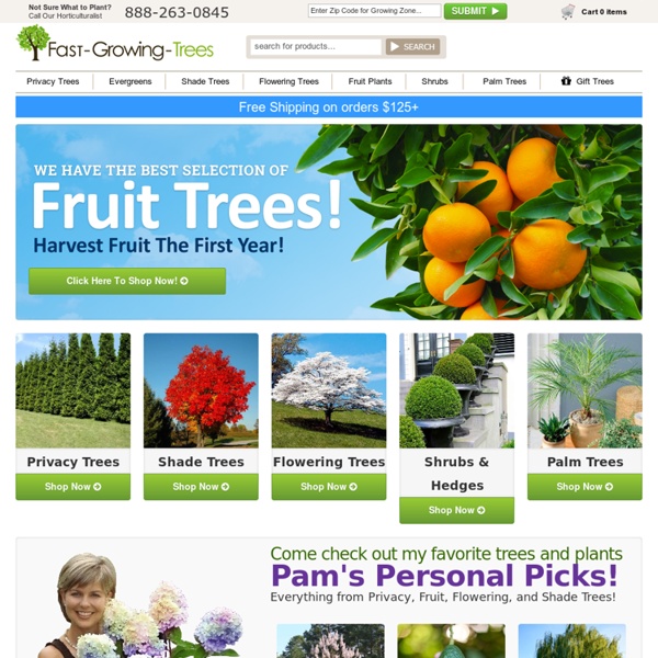 Fast Growing Trees - Buy Trees Online - Trees for Sale