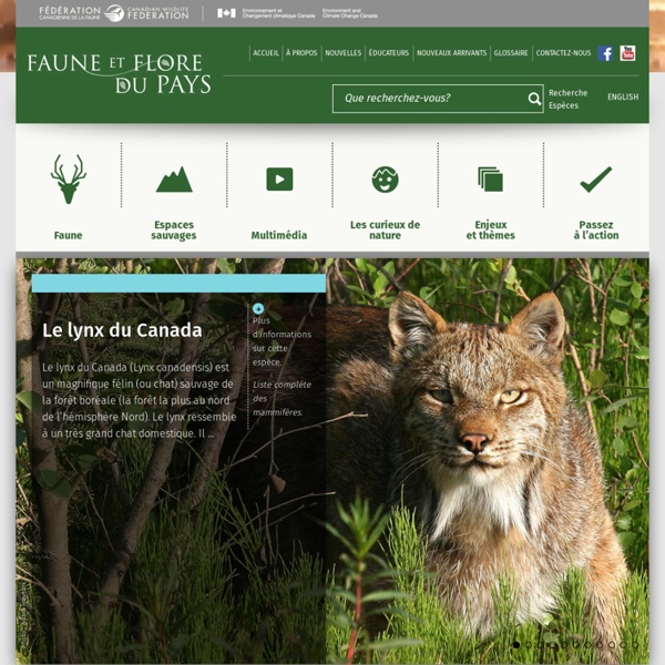 Faune et flore du pays - Faune et flore du pays