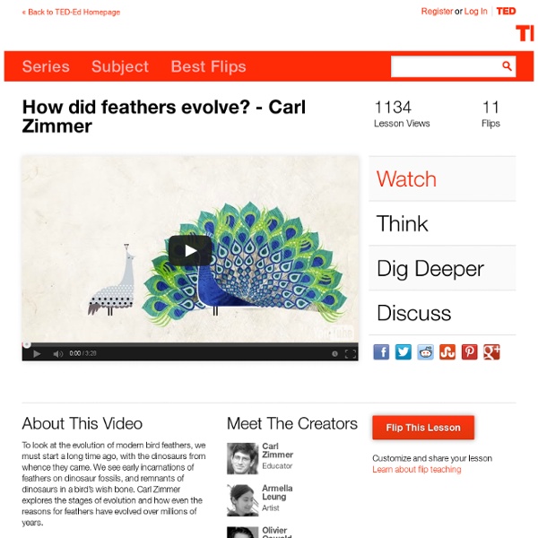 How did feathers evolve? - Carl Zimmer