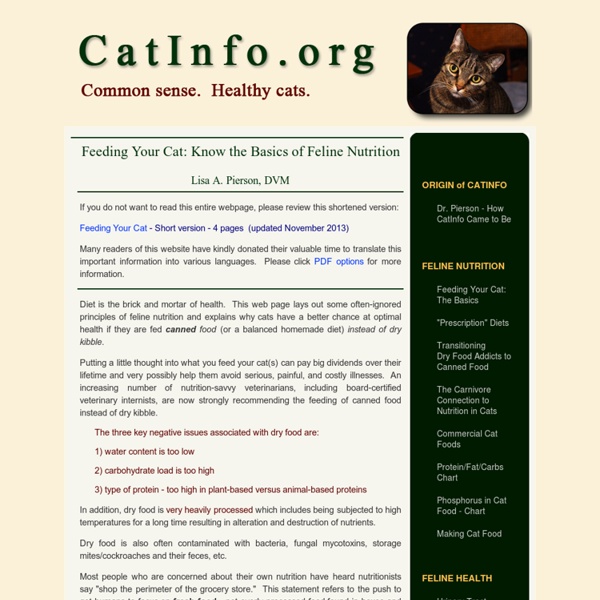 Healthy cat diet, making cat food, litter box, cat food, cat nutrition, cat urinary tract health