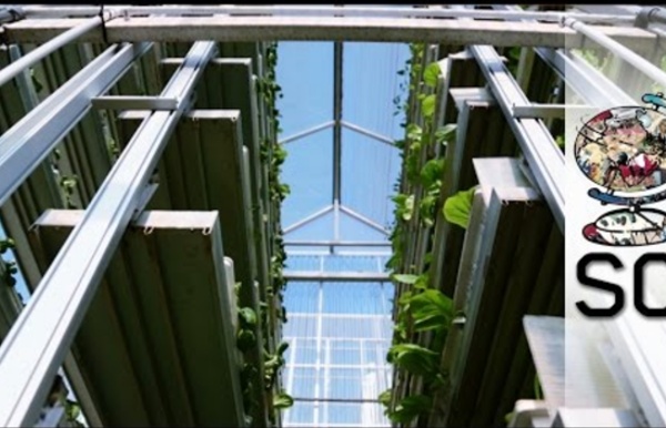 Feeding 9 Billion: Vertical Farming - Singapore