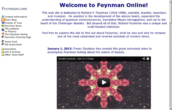 Feynman Online