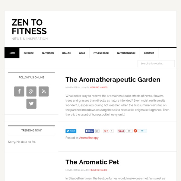 Zen to Fitness