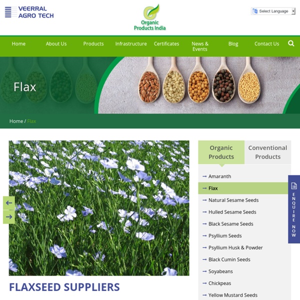 Organic Flaxseed Exporters