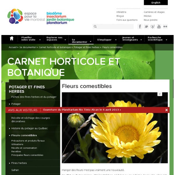 Les fleurs comestibles (tableau) : Feuillet horticole du Carnet horticole et botanique