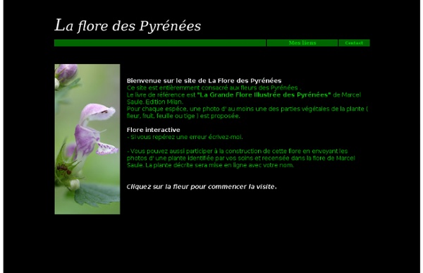 Fleurs des Pyrénées, flore des pyrénées