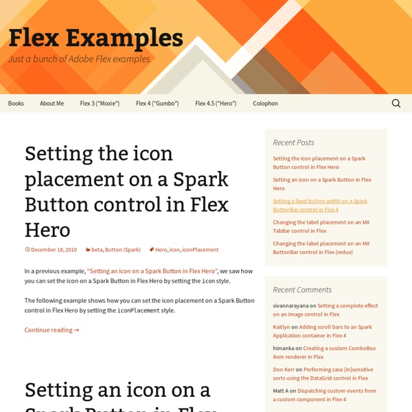 Flex Examples