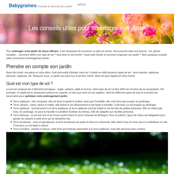 Vente de graines pour le jardin , la serre et la veranda : Babygraines