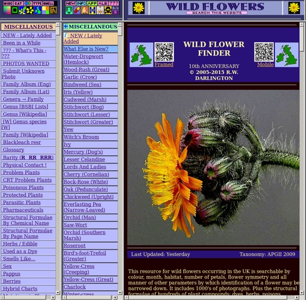 Wild Flower Identification Guide (ID Guide)