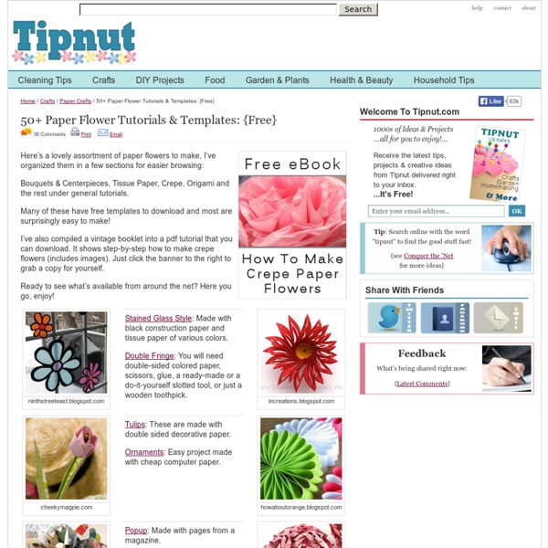 Paper Flower Tutorials & Templates