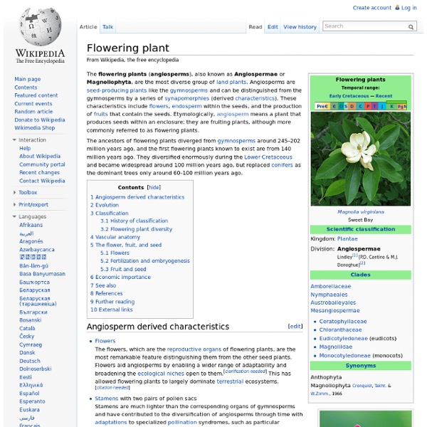 Flowering plant
