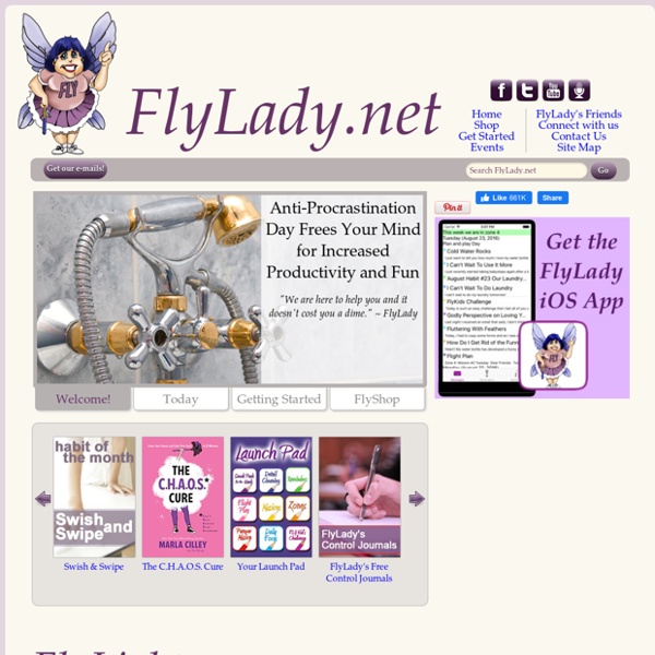 FlyLady.net: Your personal online coach to help you gain control of your house and home
