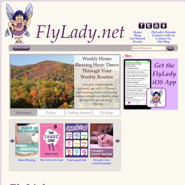 FlyLady.net: Your personal online coach to help you gain control of your house and home