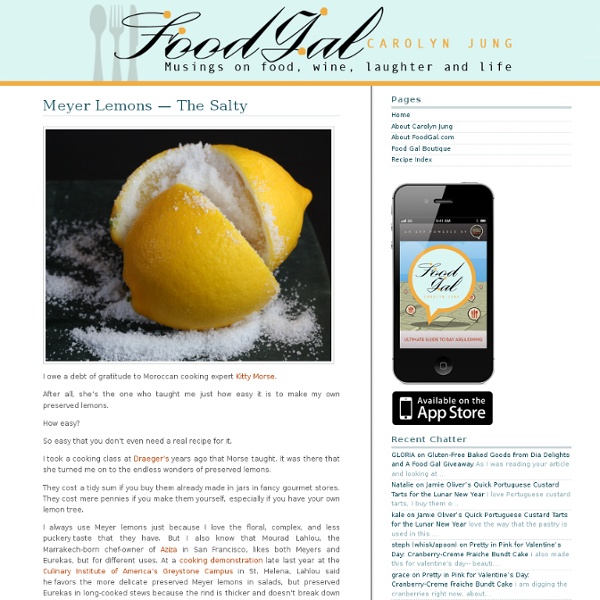 Meyer Lemons — The Salty