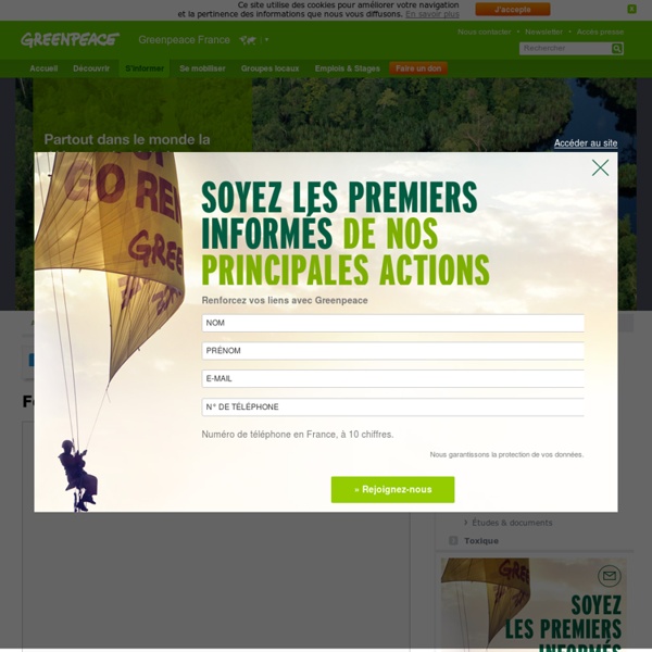 Greenpeace France