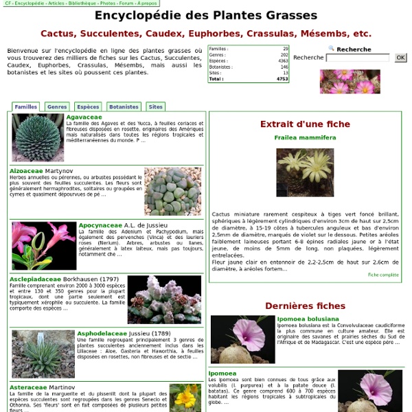 Au Cactus Francophone : Encyclopédie des Plantes Grasses - Cactus, Succulentes, Caudex, Euphorbes, Crassulas, Mésembs, etc.