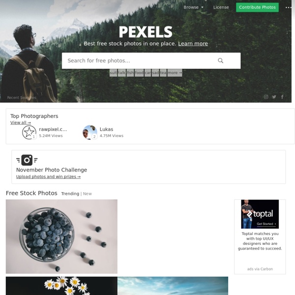 Pexels · Free high quality stock photos